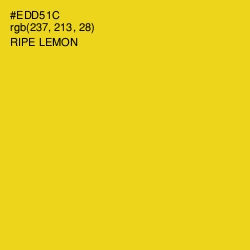 #EDD51C - Ripe Lemon Color Image